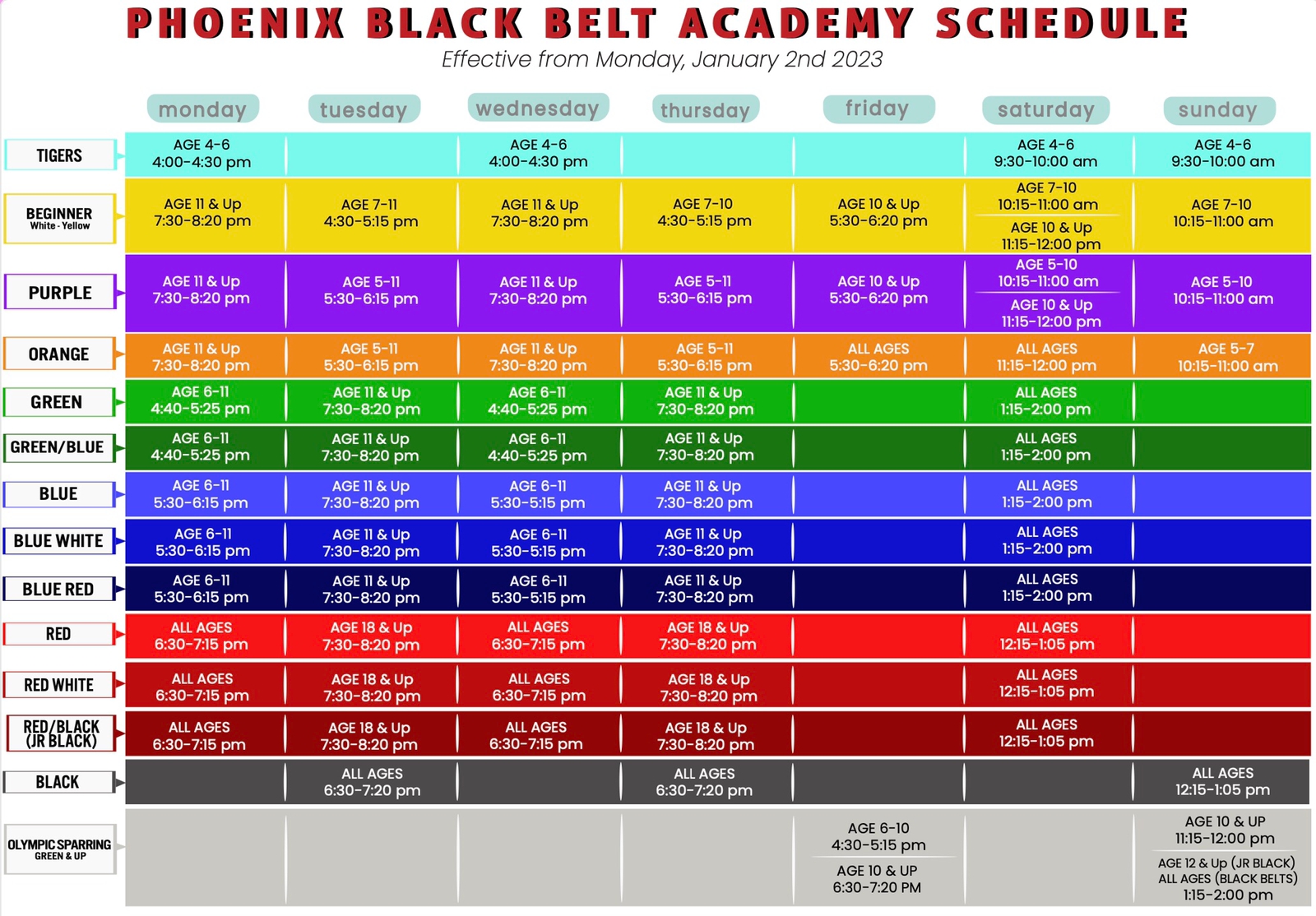 Dubai martial arts kids activities Phoenix Academy schedule