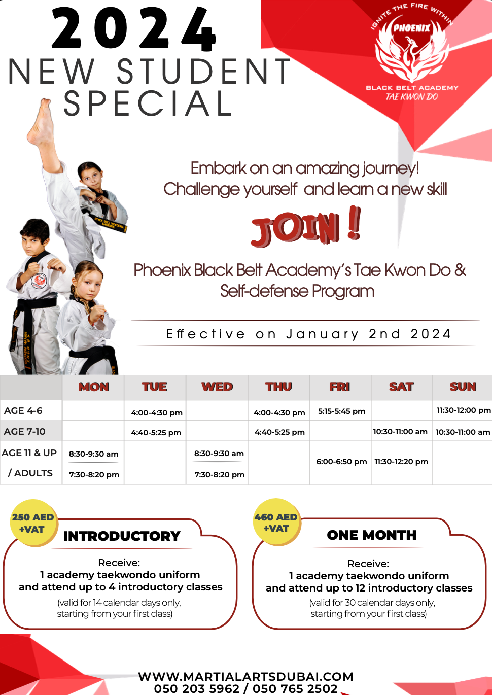 Special Offer for Taekwondo classes