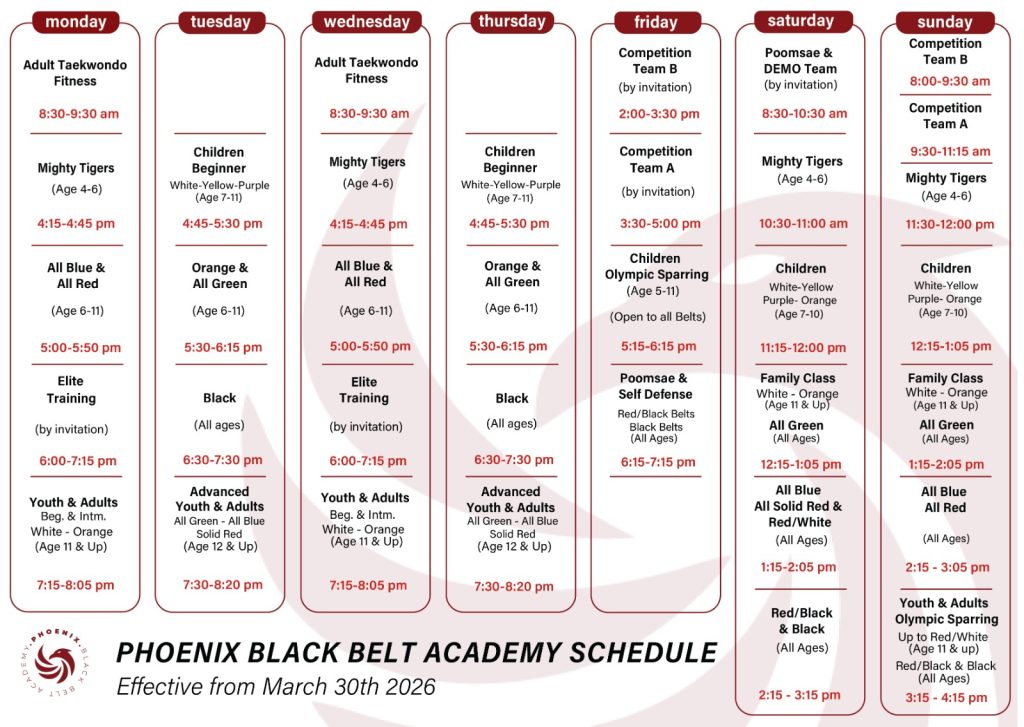 Martial arts class schedule dubai Phoenix