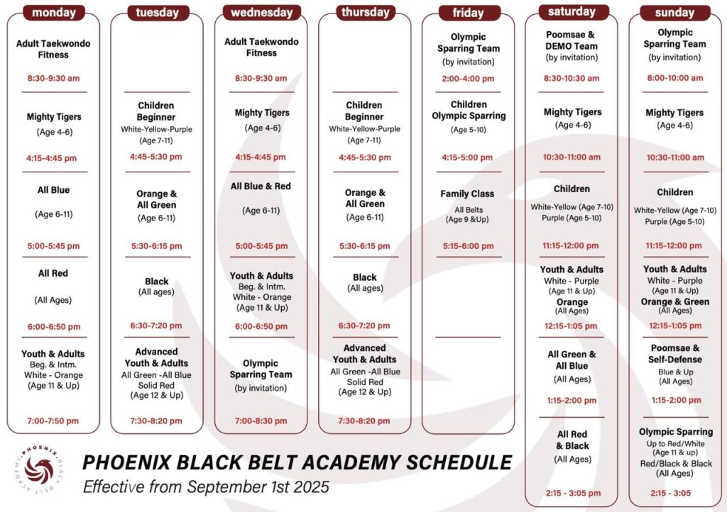 Phoenix Academy Martial Arts Class Schedule