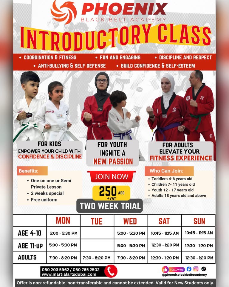 martial arts classes dubai intro lesson
