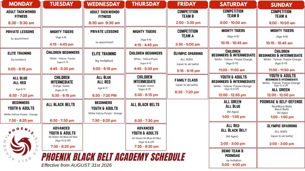 Martial arts class schedule dubai kids activities tae kwon do academy